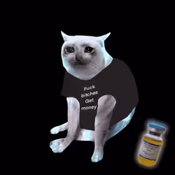 Cash Cat #9500