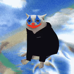 Cash Cat #9772