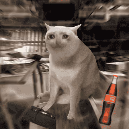 Cash Cat #7049