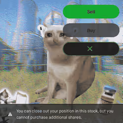 Cash Cat #4757