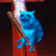 Cash Cat #9447