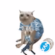 Cash Cat #3892