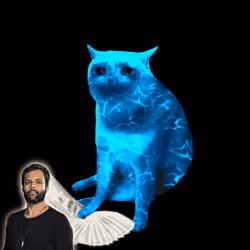 Cash Cat #2672
