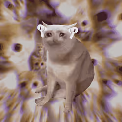 Cash Cat #6953