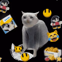 Cash Cat #5176