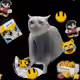 5176