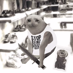 Cash Cat #9554