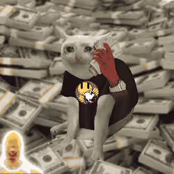 Cash Cat #8278