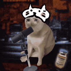 Cash Cat #270