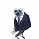 6843