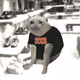7368