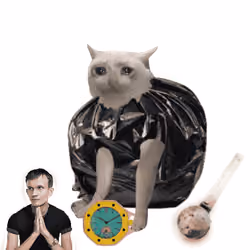 Cash Cat #6207