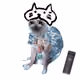 Cash Cat #8303