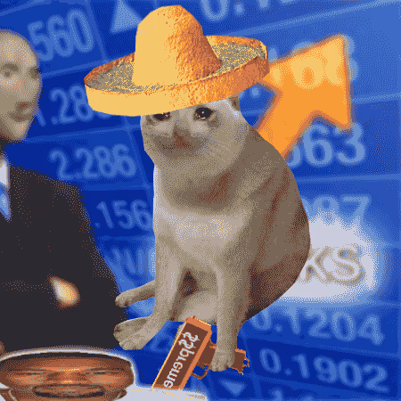 Cash Cat #407
