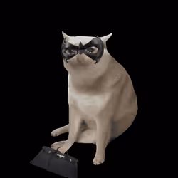 Cash Cat #1035