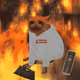 Cash Cat #201