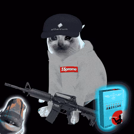 Cash Cat #1735