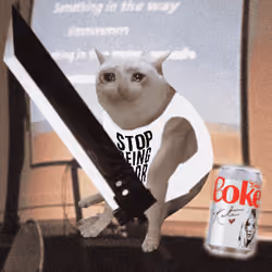 Cash Cat #7094