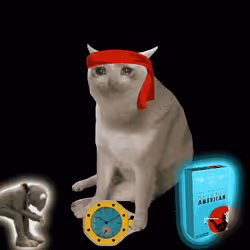 Cash Cat #204