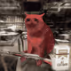 Cash Cat #2886