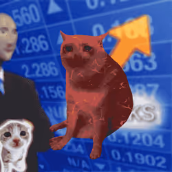 Cash Cat #8827