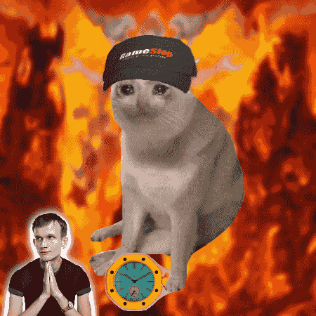 Cash Cat #3854