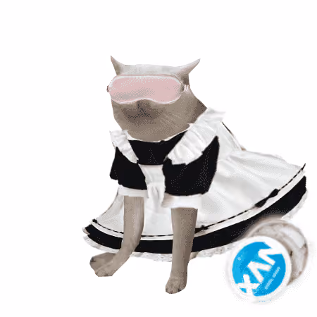 Cash Cat #267