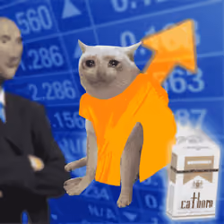Cash Cat #5308