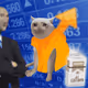 Cash Cat #5308