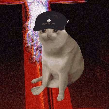 Cash Cat #4042