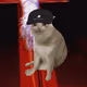 Cash Cat #4042