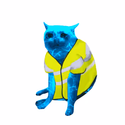 Cash Cat #4822
