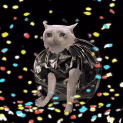 Cash Cat #3048