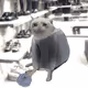 8094