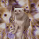 6640