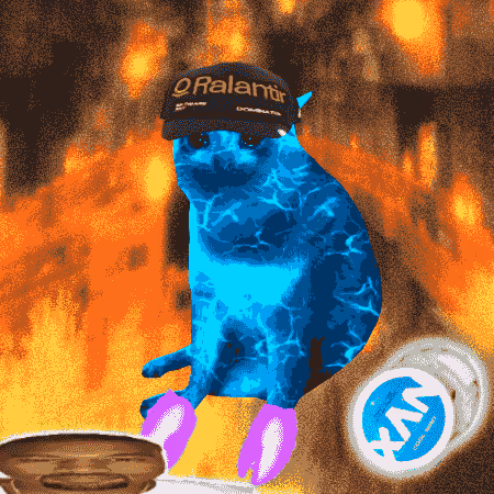 Cash Cat #1338