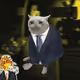 Cash Cat #4703