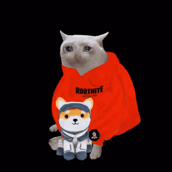 Cash Cat #5272