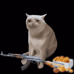 Cash Cat #8172
