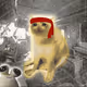 Cash Cat #3284