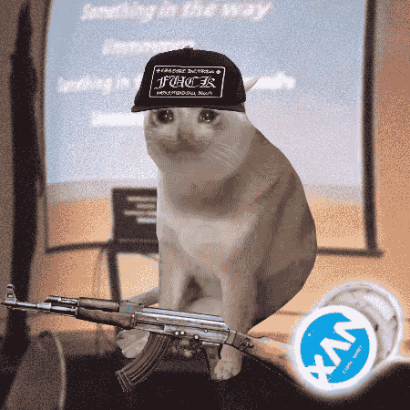 Cash Cat #8584