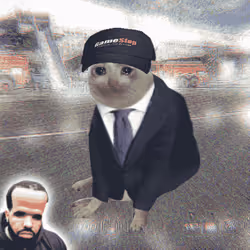 Cash Cat #6357