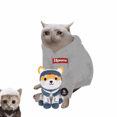 Cash Cat #3813