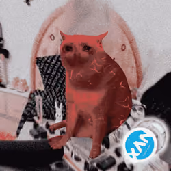 Cash Cat #7716