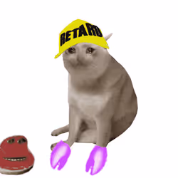 Cash Cat #9202