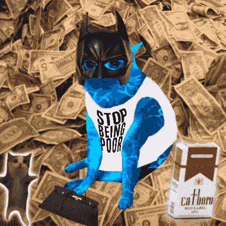 Cash Cat #2960