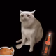 7034