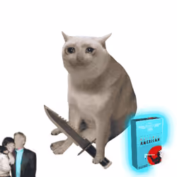 Cash Cat #7432
