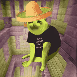 Cash Cat #9285