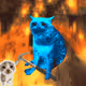 4293